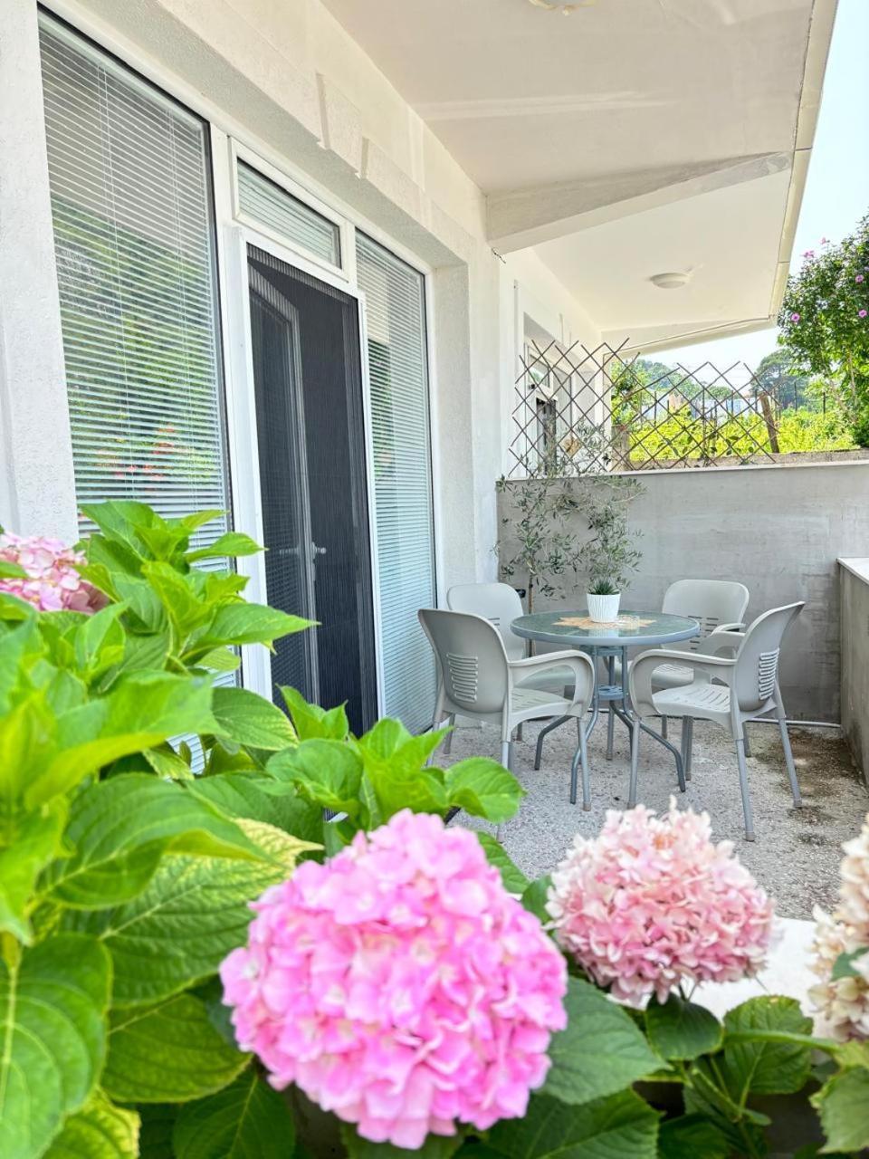 Apartments Boka Pearl Kotor Exterior photo